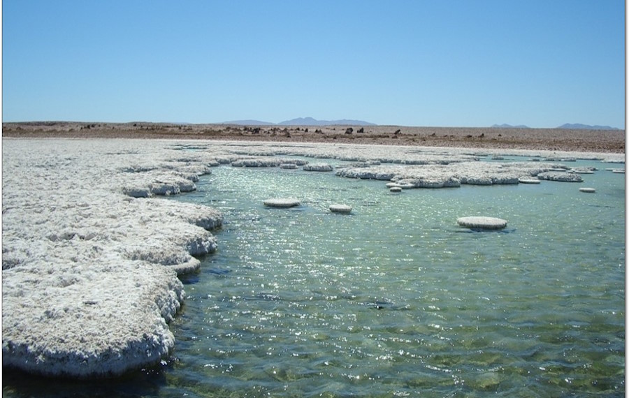 Enfoque multidisciplinario para diseño y actualización de la medida de mitigación en lagunas salinas