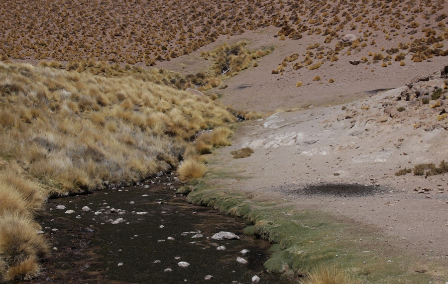 Desarrollo de modelos numéricos para evaluar la interacción entre agua y salmuera subterránea y ecosistemas dependientes