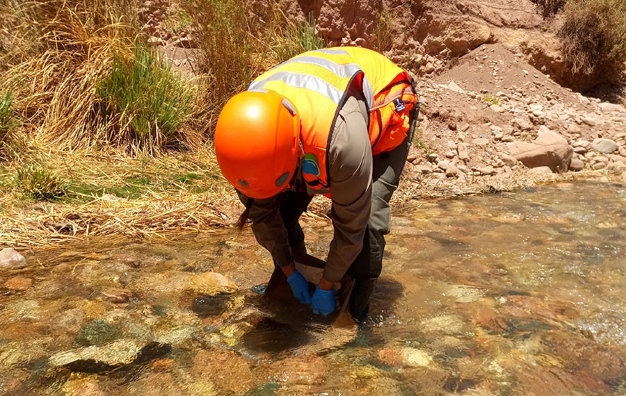 Evaluación de daño ambiental en agua subterránea y superficial.