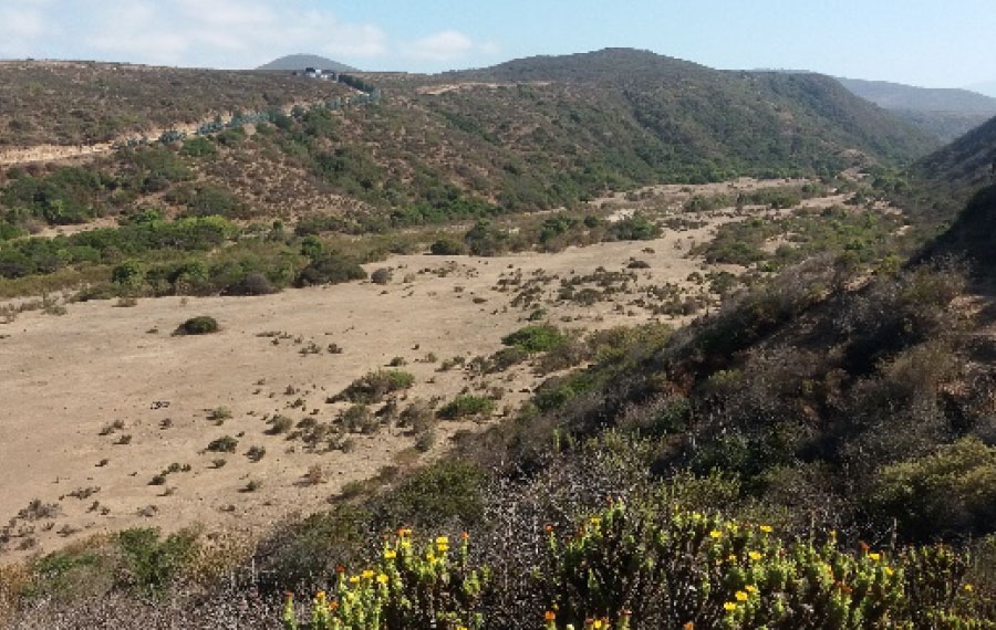 Determinación de efectos de bombeo de agua subterránea sobre humedal costero de Pichicuy.